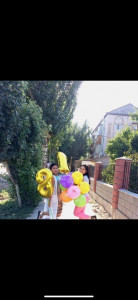 6 Image 1